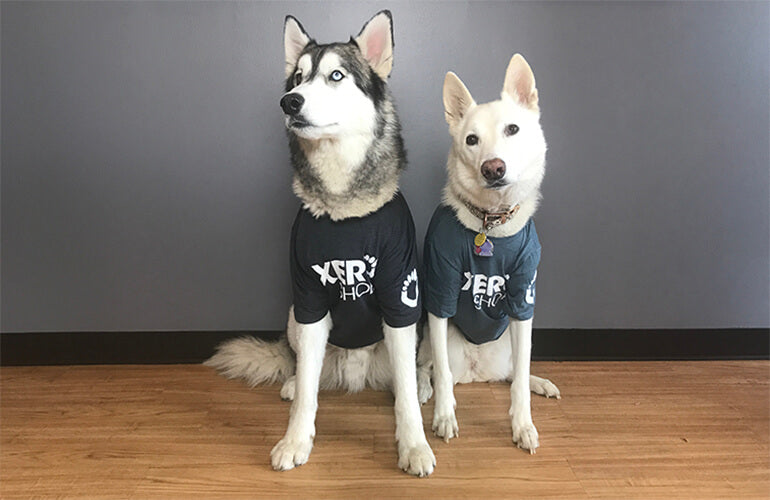 Xero T-Shirts - Xero Shoes